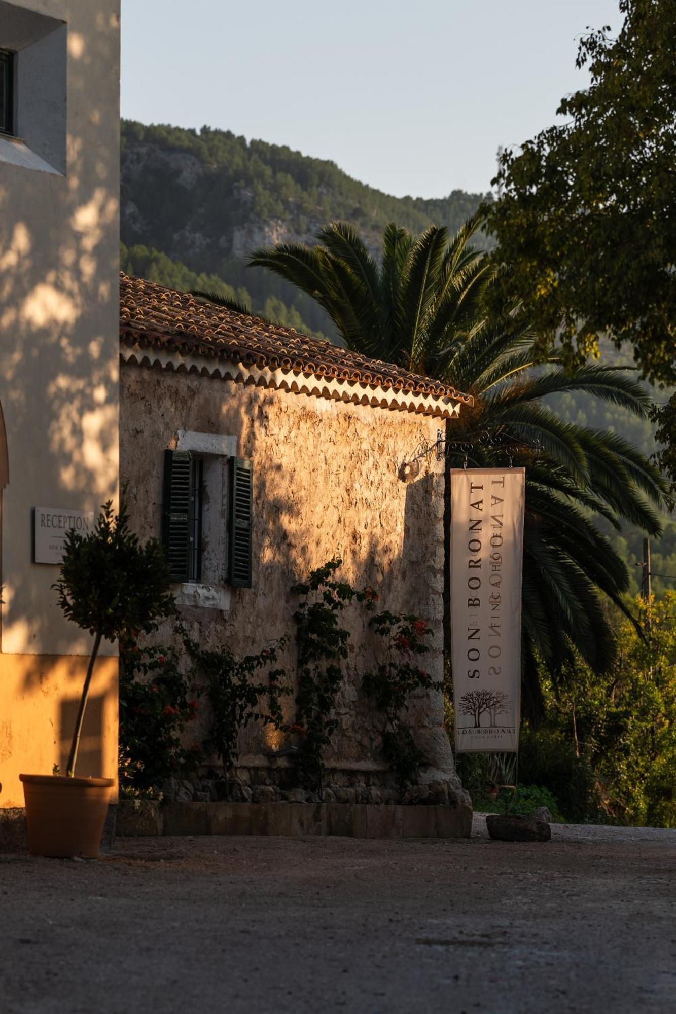 Agroturismo Son Boronat Calvia  Екстериор снимка