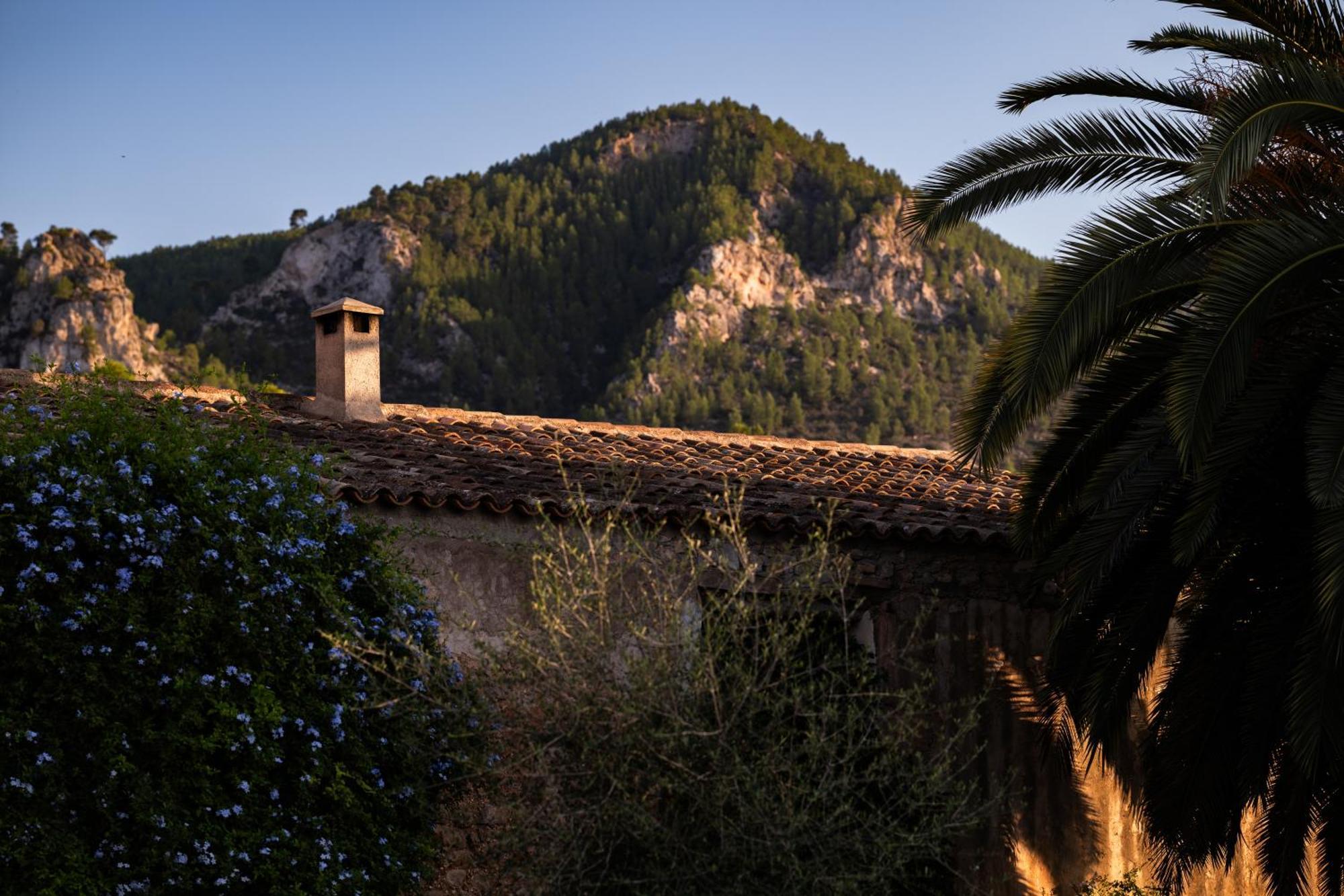 Agroturismo Son Boronat Calvia  Екстериор снимка