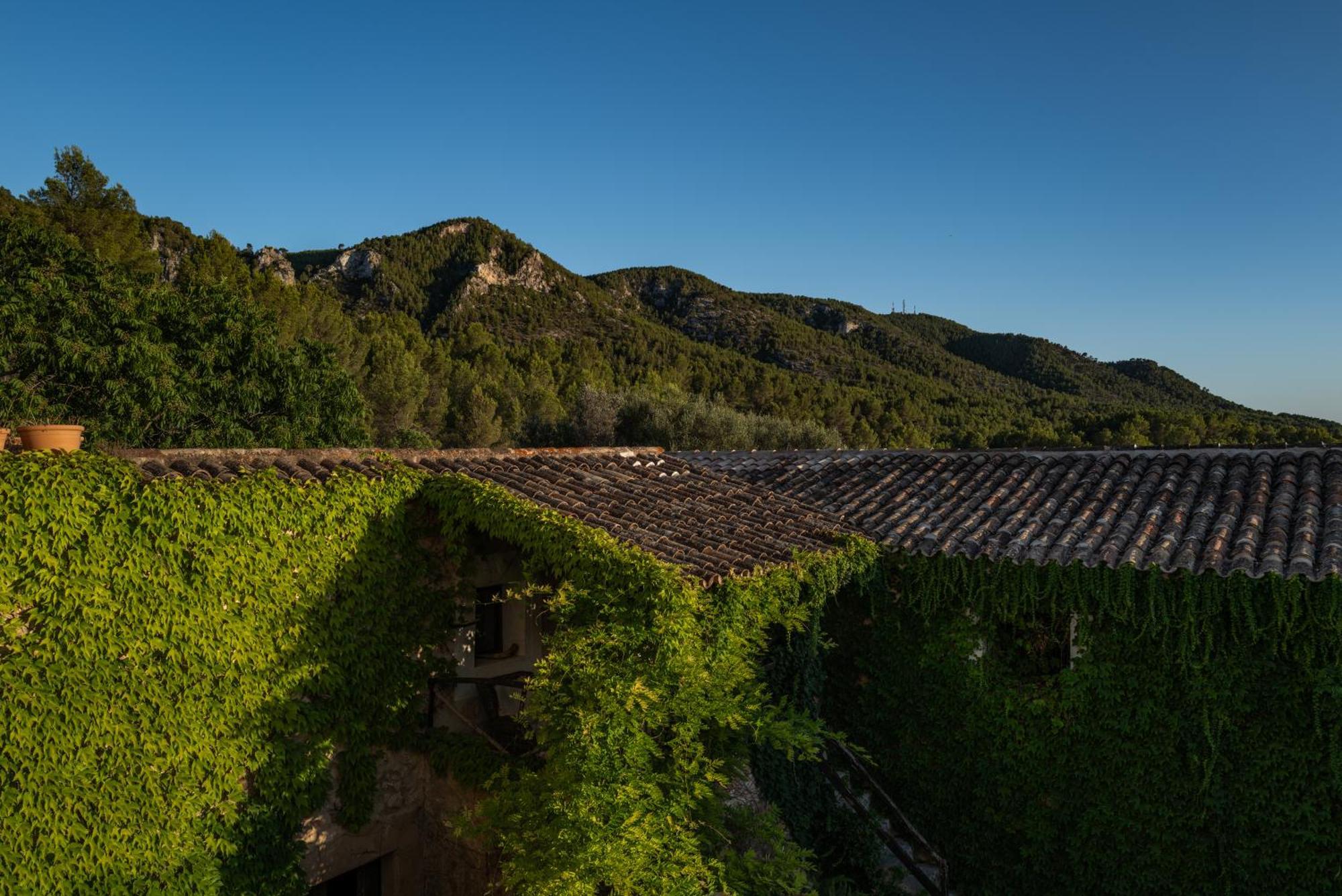 Agroturismo Son Boronat Calvia  Екстериор снимка